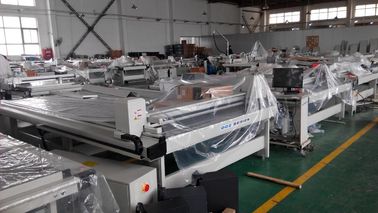 Alta precisione di plastica della tagliatrice del bordo dello strato del bordo pp per la pubblicità